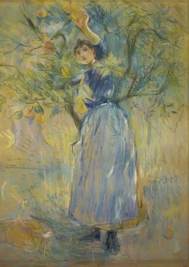 Morisot Under The Orange Tree French Paintings And Pastels 1600 1945